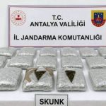 Araçta, 30 kilogram uyuşturucu